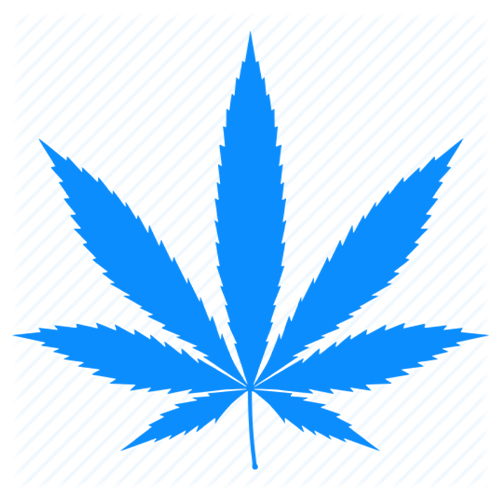 Cannabis